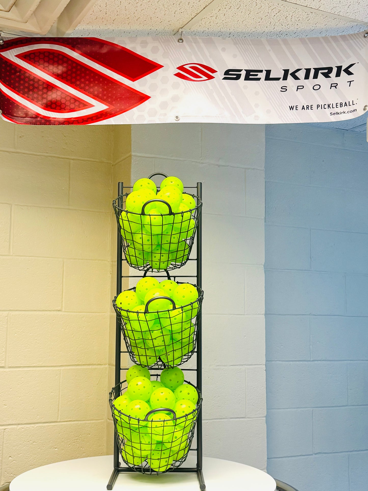 Selkirk Individual Pickleballs